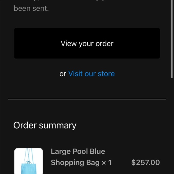 Telfar Large Pool Blue Shopping Bag - Picture 4 of 5